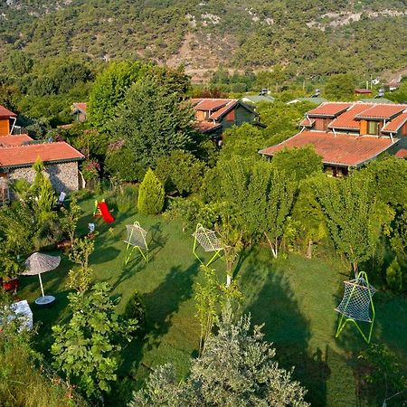 Ferienwohnung Flora Pansiyon Cirali Kemer Exterior foto