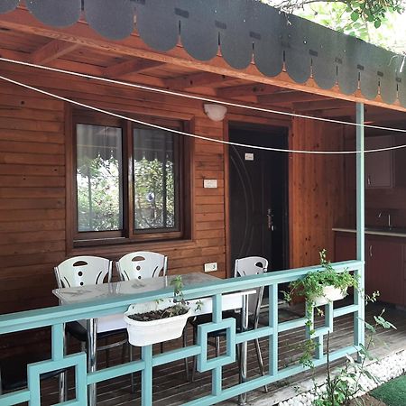 Ferienwohnung Flora Pansiyon Cirali Kemer Exterior foto