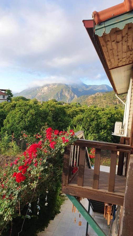 Ferienwohnung Flora Pansiyon Cirali Kemer Exterior foto